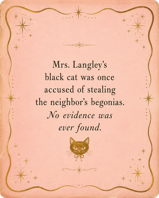 Matte paper card with small cat illustration and decorative gold star frame